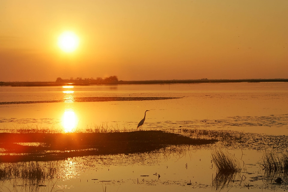 Sunset over Lacassine National Wildlife Refuge