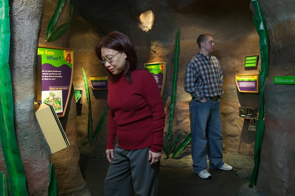 Visitors at the Who Eats What and Meet the Little Guys exhibits