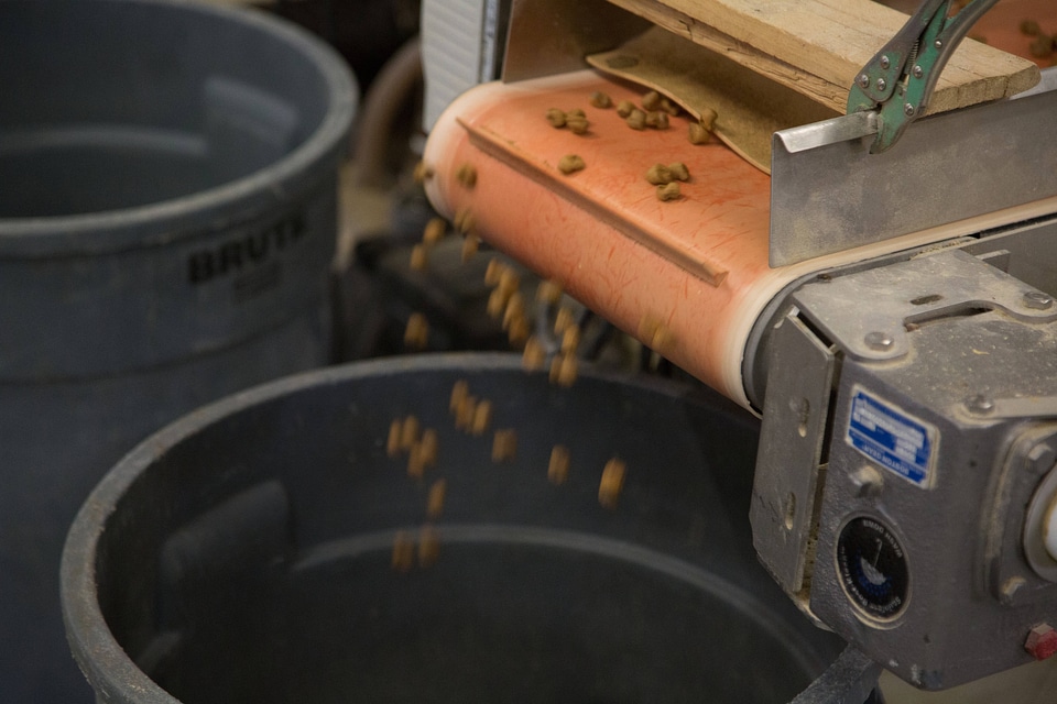 Equipment used to check quality control of fish food-4