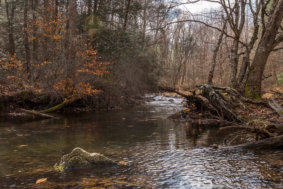 Seneca Creek with beaver dam-1