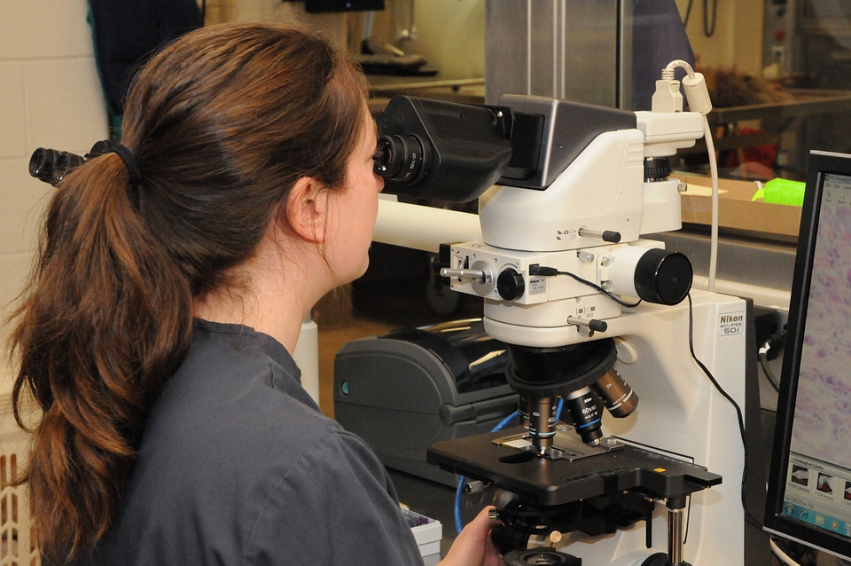 Ashland Forensics Lab-1