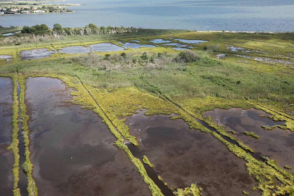Marsh and impoundments