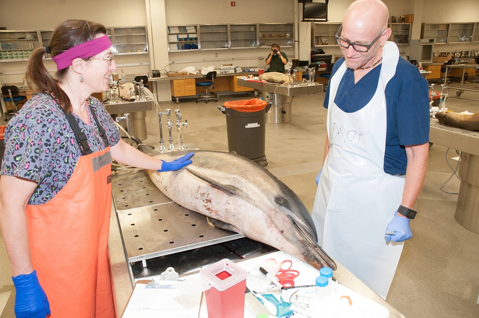 Marine Mammal Stranding Course at NCTC-1