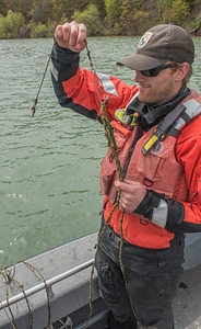 USFWS Fisheries crew baiting lines for lake sturgeon-3