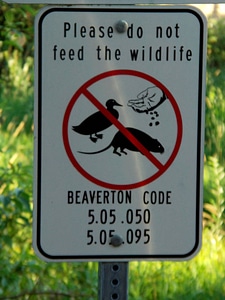 Sign Advising Against Feeding the Wildlife photo