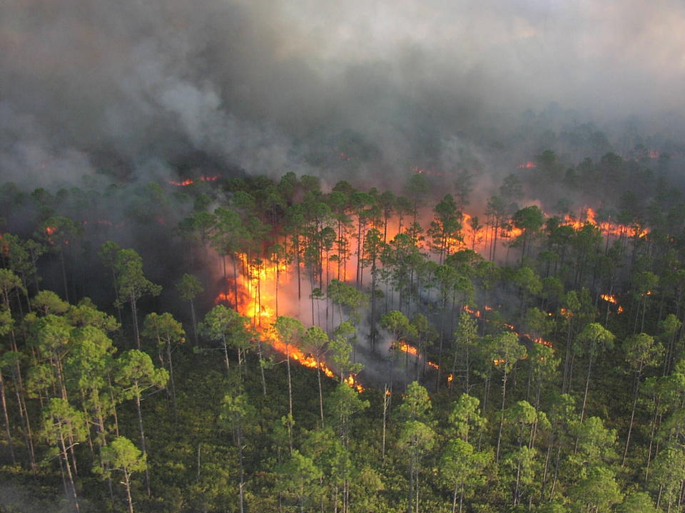 Prescribed fire forest aerial ignitions