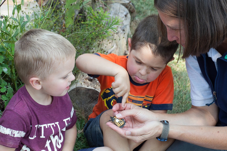Biologist teaches children about the Monarch butterfly-1