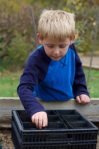 Acorn planting-4 photo