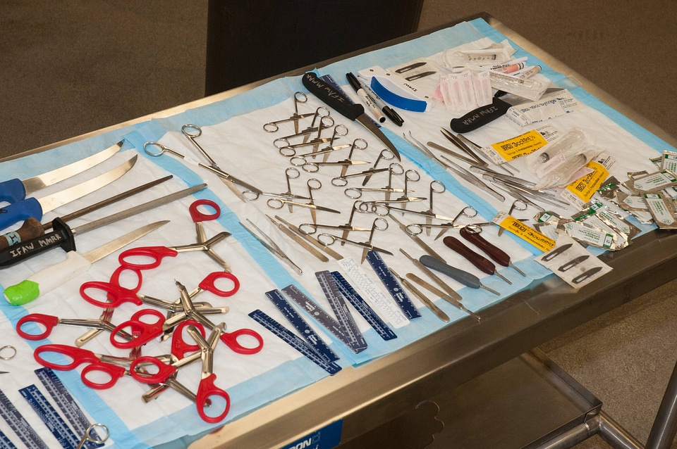 Marine Mammal Stranding Course at NCTC-1