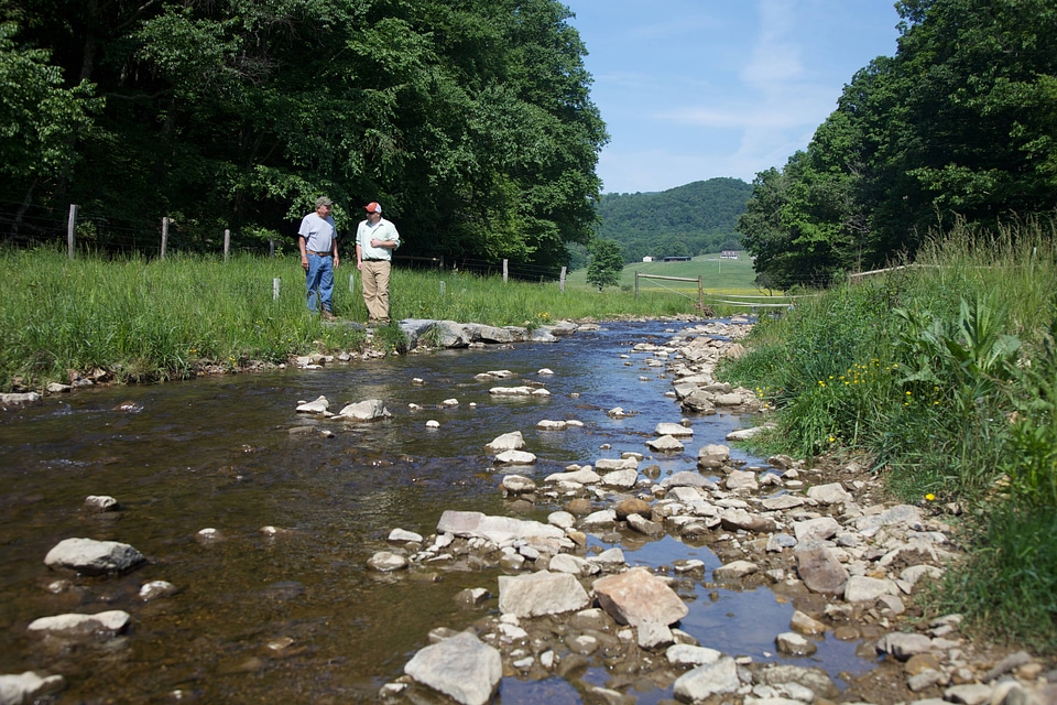 Brook Trout Restoration-1