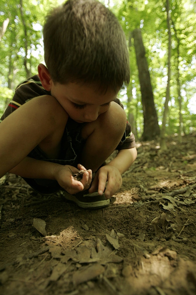 Nature collecting