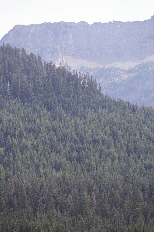 Mountain views of forested hillsides-2