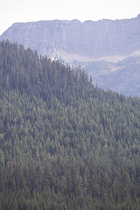 Mountain views of forested hillsides-2