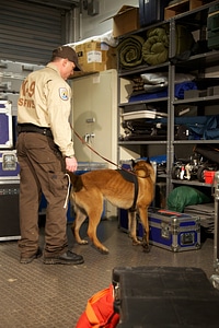 Law enforcement with K-9-1