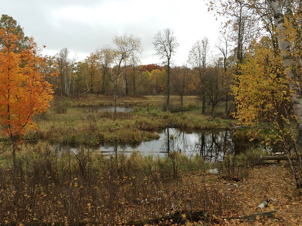 Autumn at Clearwater County Wetland Protection Area