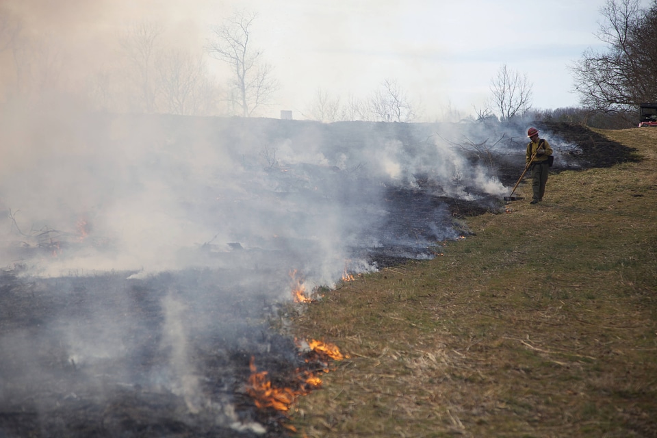 Prescribed burn area-1