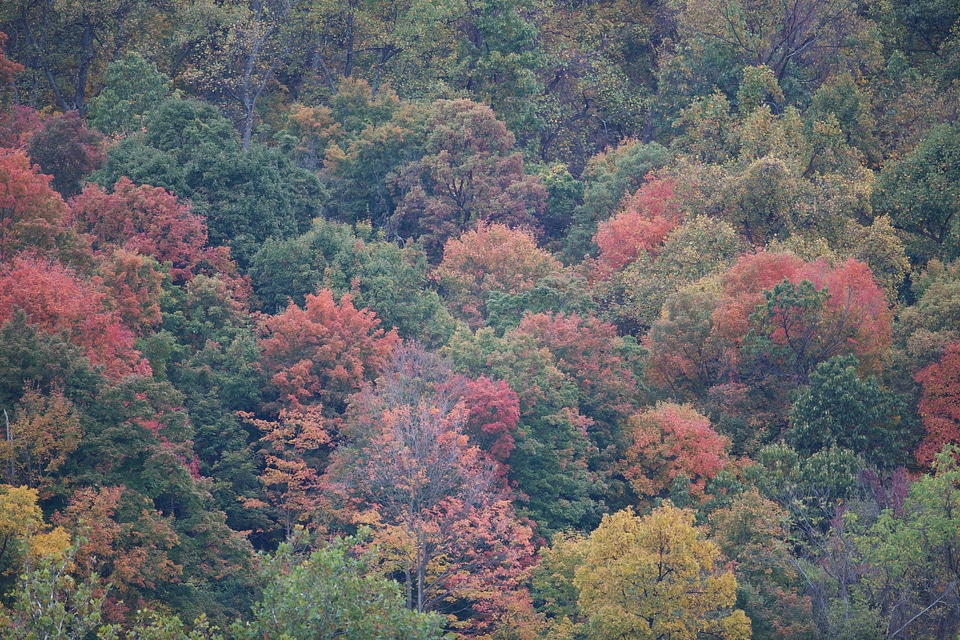 Fall colors in Harpers Ferry National Park-1
