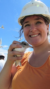 Visitor Services staff holds a Common tern chick-1