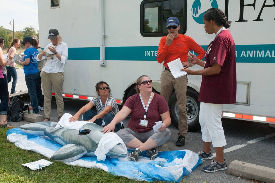 Marine Mammal Stranding Course at NCTC-3