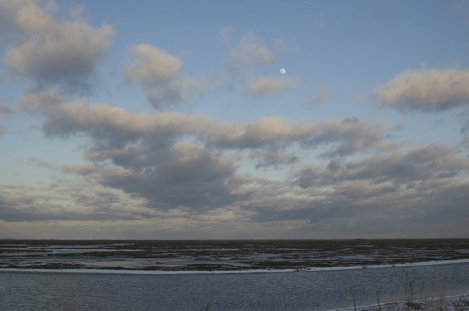 Day moon at Edwin B. Forsythe National Wildlife Refuge