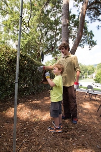 Checking nets for bats