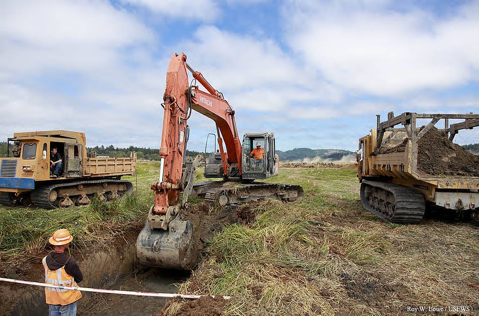 Tidal Channel Construction