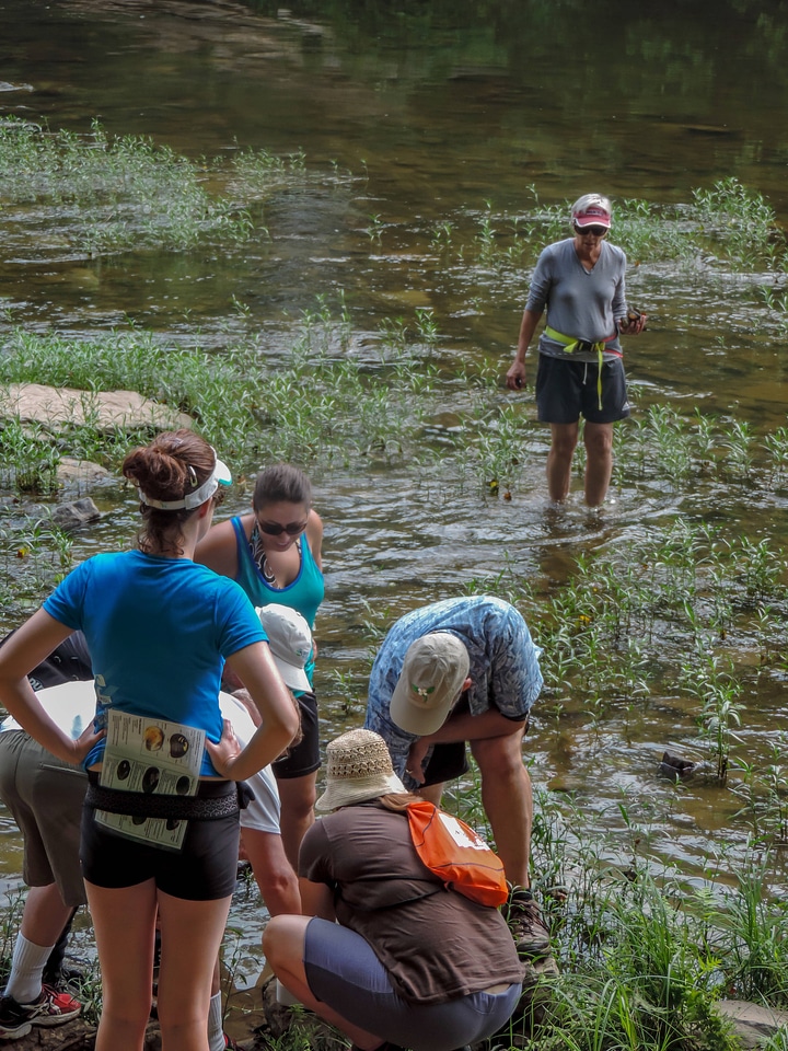 Students examine freshwater mussels on shore-4