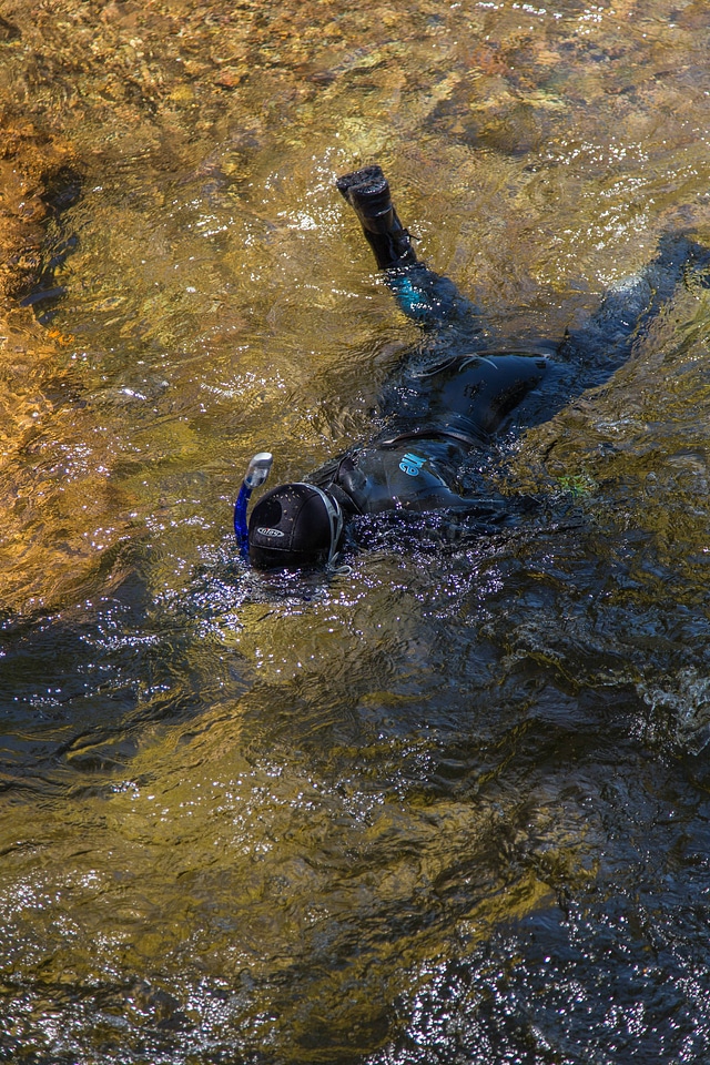 Snorkeler