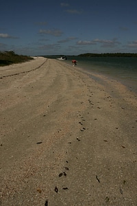 Collecting seashells-1