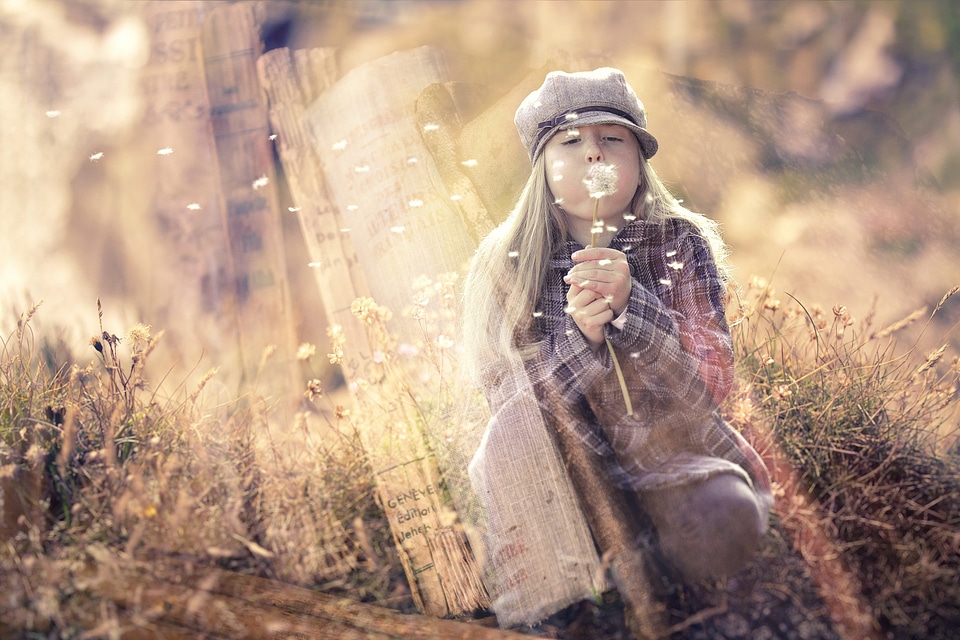 Dream world books dandelion