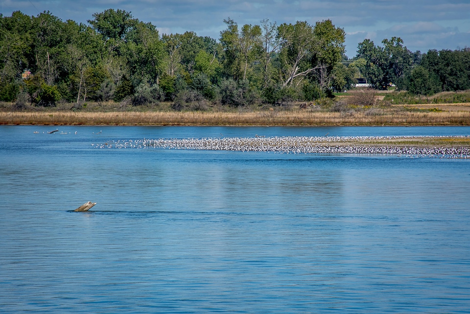 Missouri River near Yankton, South Dakota-1