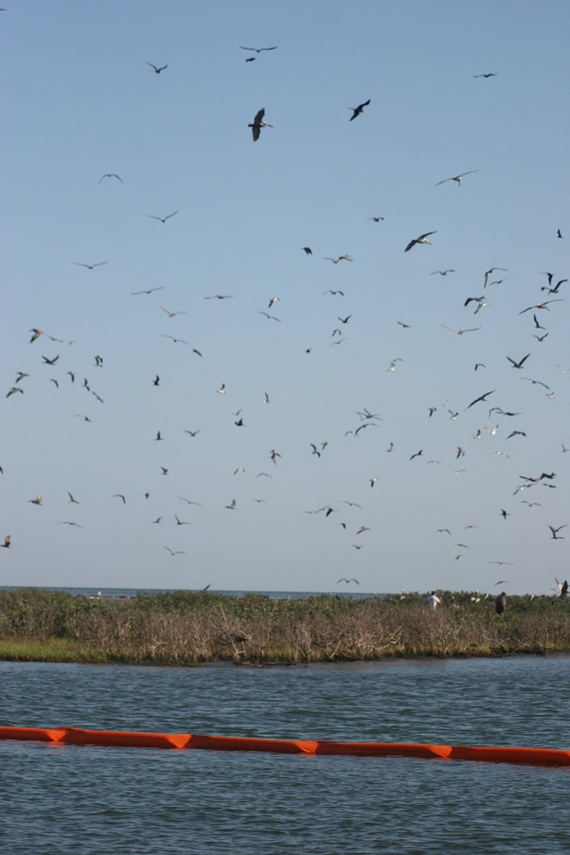 Boom placed near Breton National Wildlife Refuge