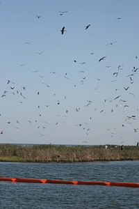Boom placed near Breton National Wildlife Refuge