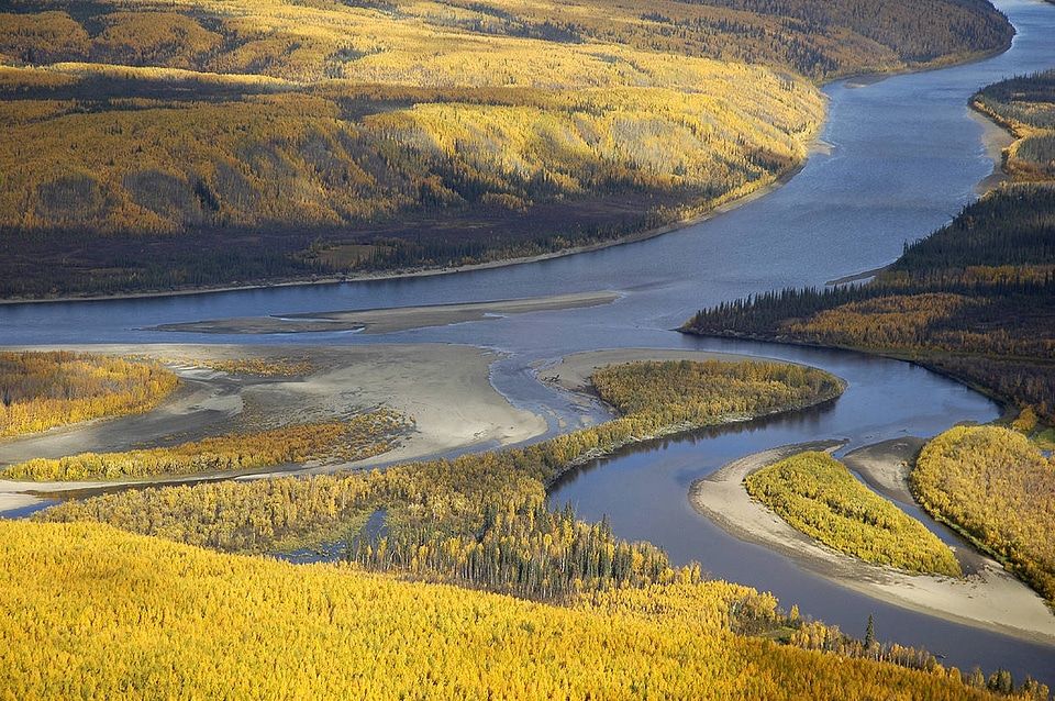Koyukuk and Kanuti Rivers 