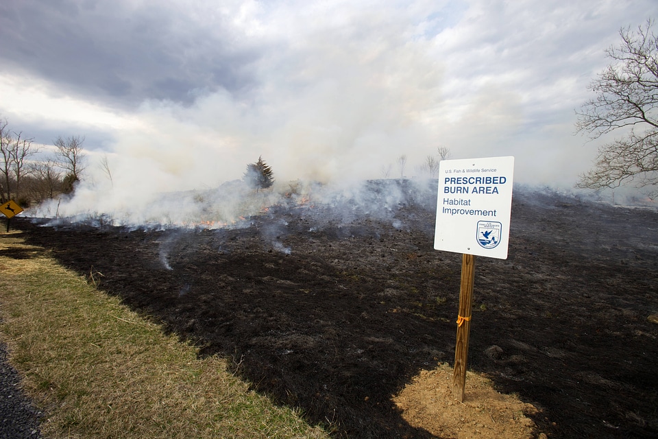 Prescribed burn at NCTC-2