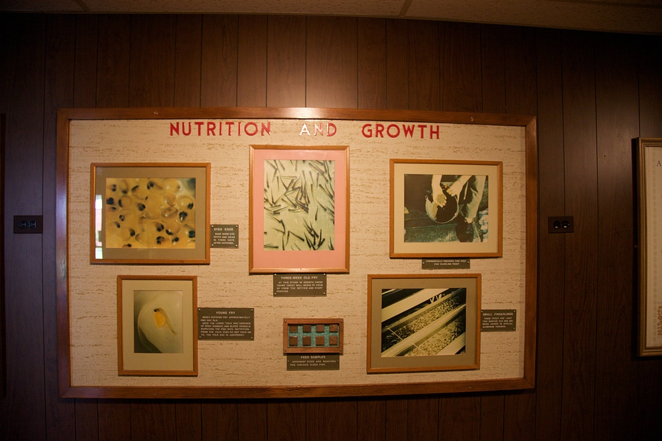 Nutrition and Growth display at Stream Habitat Restoration Education Center