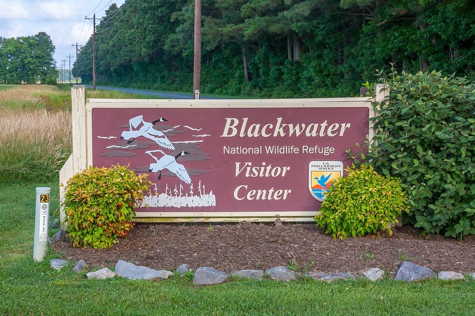 Blackwater NWR sign-1