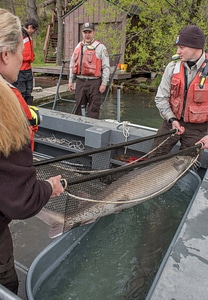 USFWS Fisheries workers-1