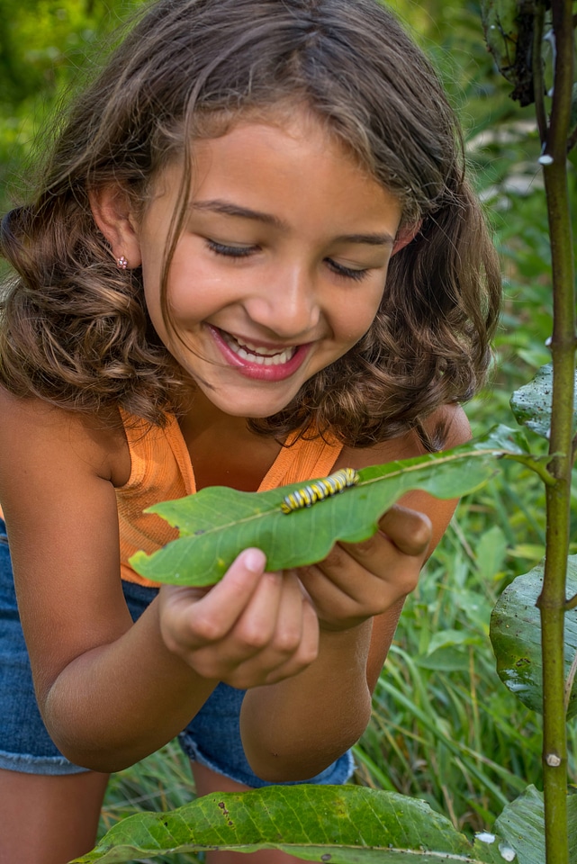 Young girl looking at Monarch caterpillar-4