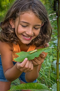 Young girl looking at Monarch caterpillar-4