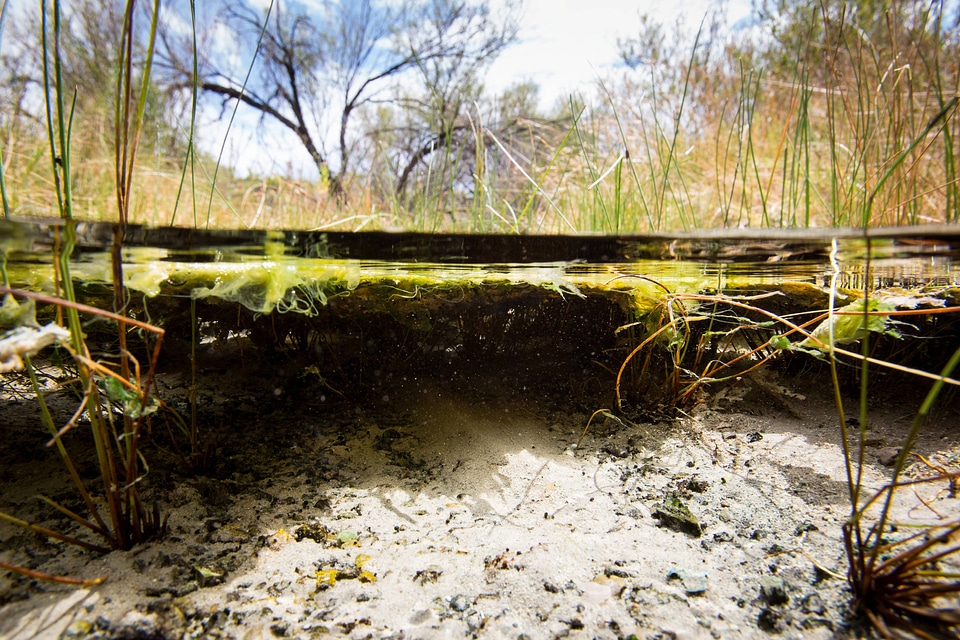 North Scruggs stream at Ash Meadows NWR-1