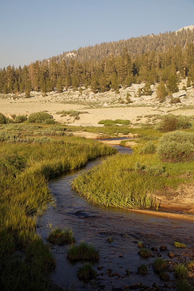 Stream through Sierra Nevada high alpine meadow-2