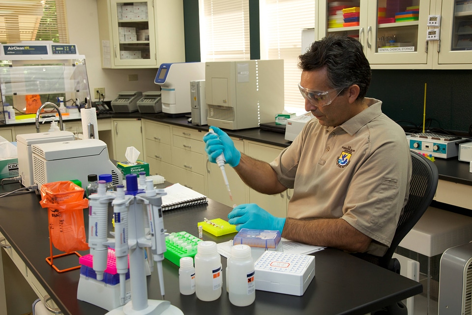 Service scientist conducts ELISA tests-2