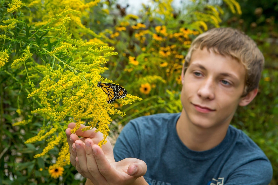Teenage boy with monarch butterfly on goldenrod flowers-1