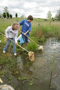 Capturing fish and other life in the pond