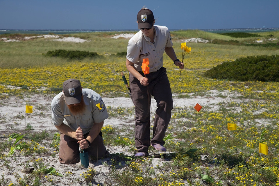 Placing markers at Monomoy NWR