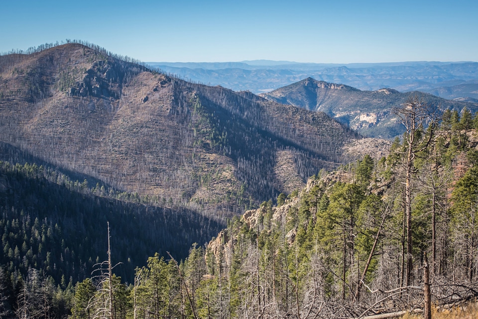 Area of Gila National Forest burned by Whitewater Baldy fire of 2012-1
