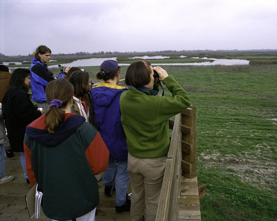 Birdwatching at San Luis National Wildlife Refuge