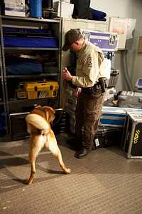Law enforcement with K-9-4