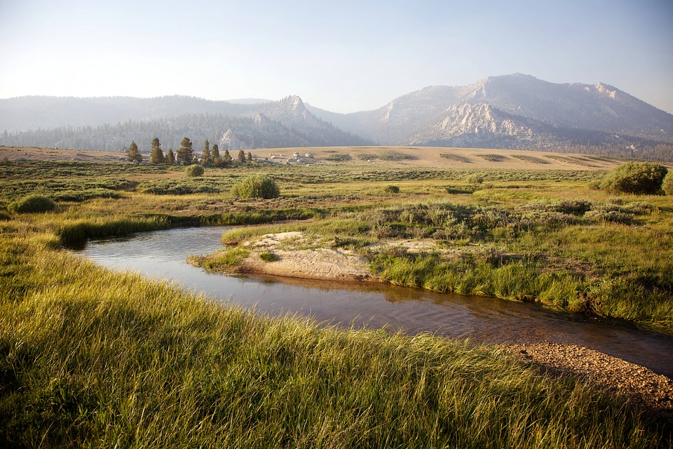 Stream through Sierra Nevada high alpine meadow-1